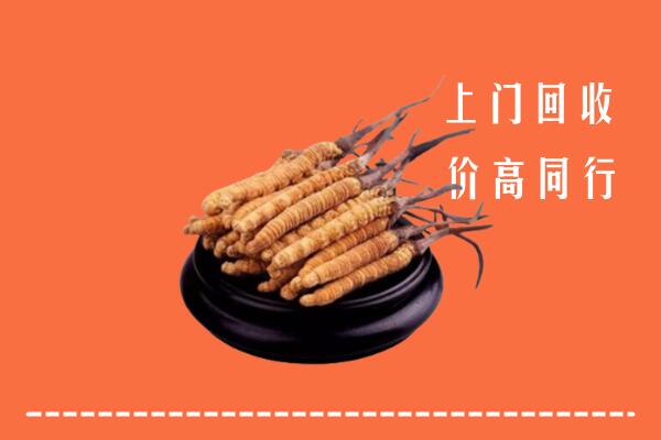 高价求购：西双版纳州回收散虫草