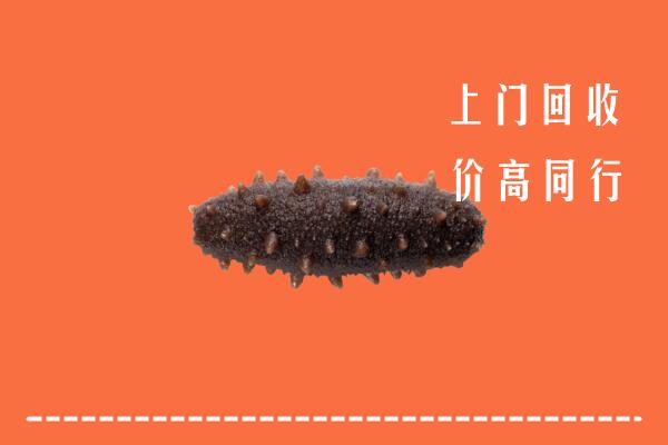 高价求购：西双版纳州回收海参