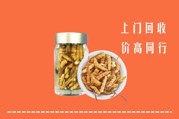 西双版纳州回收冬虫夏草