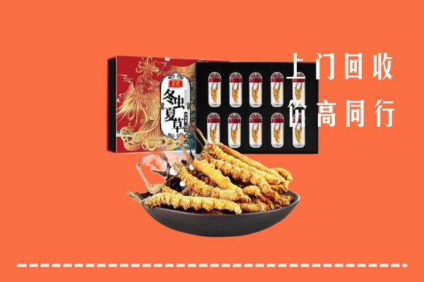 西双版纳州回收虫草